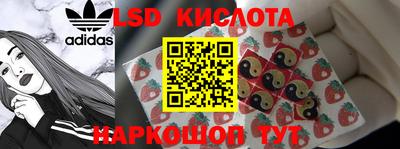 СК Моздок