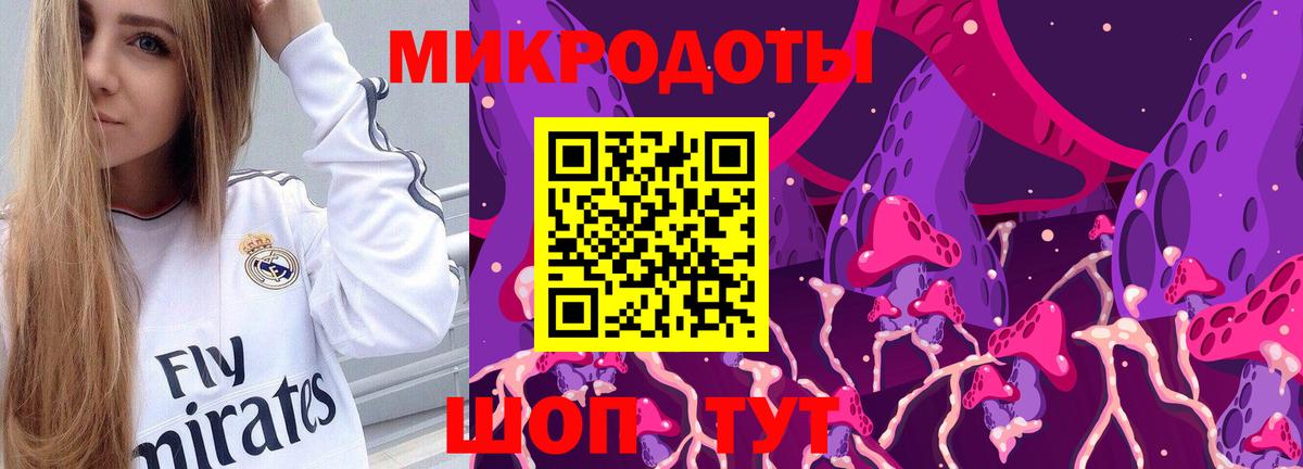 Галлюциногенные грибы Psilocybe Бузулук