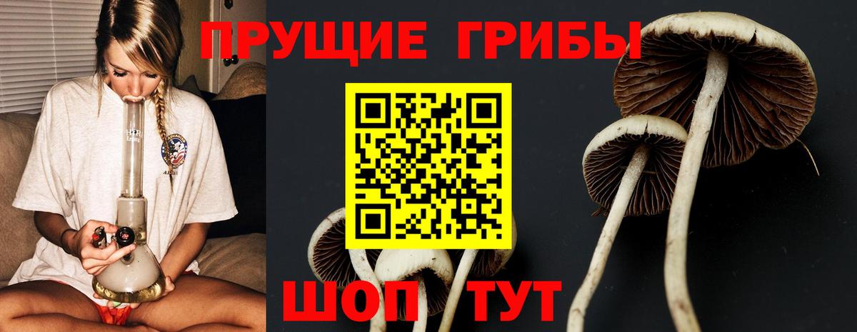 Бузулук  купить  сайты  Вход с VPN  Галлюциногенные грибы Cubensis  Псилоцибиновые грибы мухоморы 